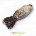 ESP - SALMON SKIN BONE fish shape - Kość "rybka" 1