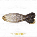 ESP - SALMON SKIN BONE fish shape - Kość "rybka" 1